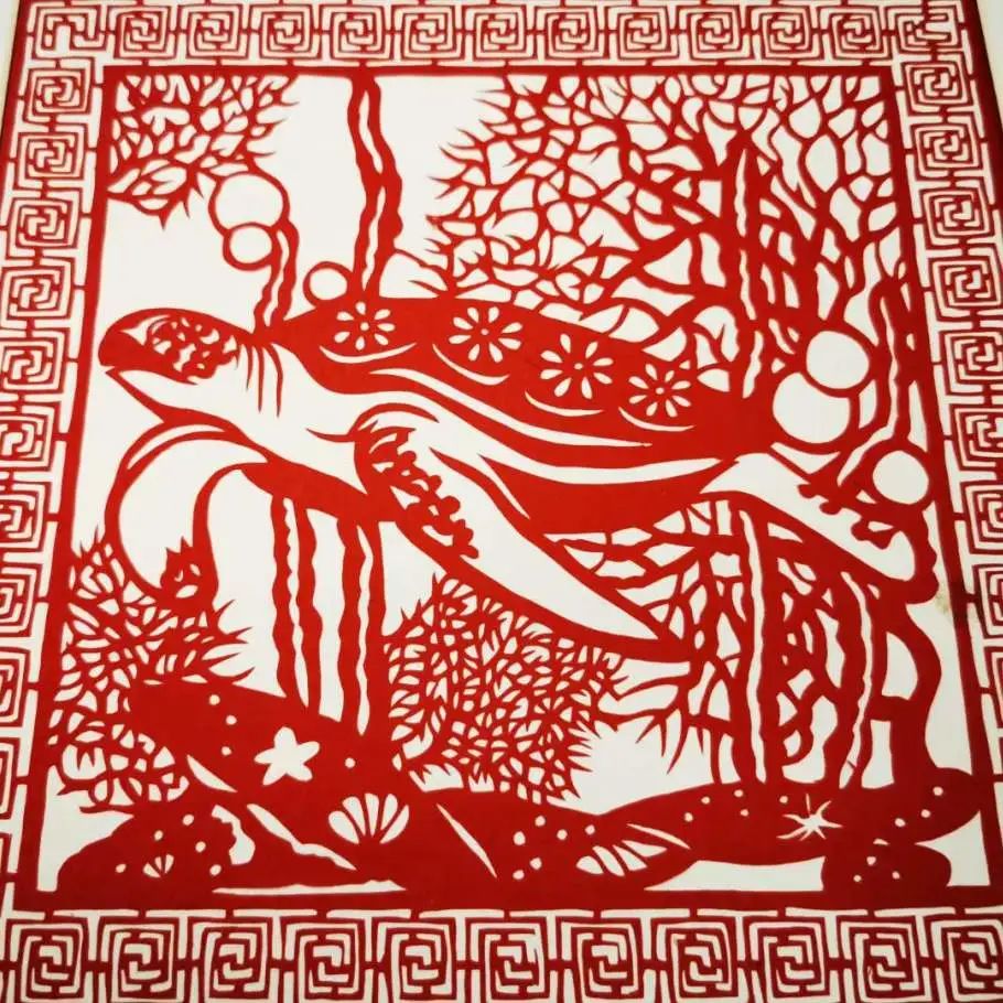 A Green Sea Turtle’s Journey Home:&nbsp;P2